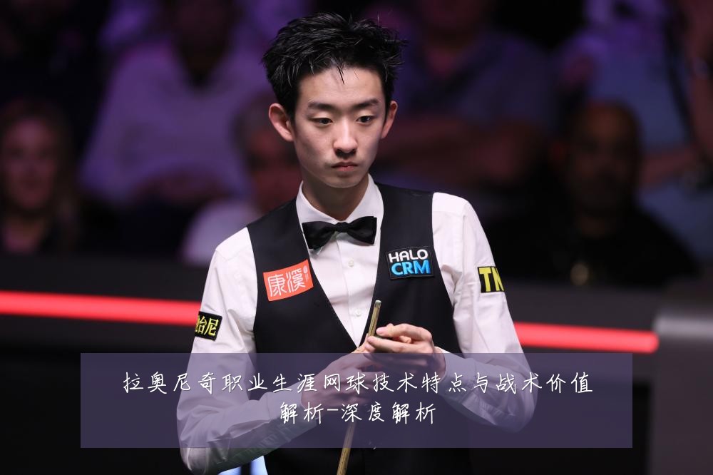 拉奥尼奇职业生涯网球技术特点与战术价值解析-深度解析